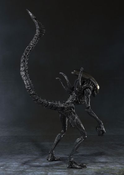 S.H.MonsterArts 异形战士