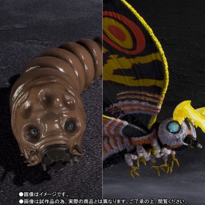 S.H.MonsterArts  哥斯拉大战魔斯拉 成虫魔斯拉+幼虫魔斯拉 特别配色
