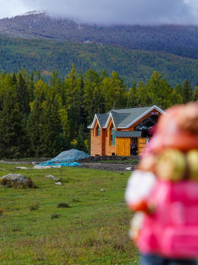 figma#550 摇曳露营△ 志摩凛