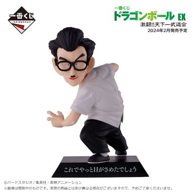 一番赏 龙珠 EX 激战！！ 天下第一武道会 E奖 龙珠档案