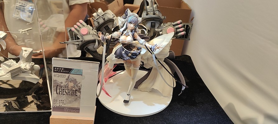 碧蓝航线  布莱默顿 功夫少女