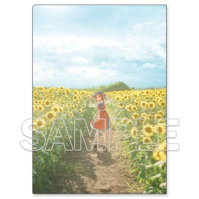 爱与演唱会！阳光！！文件夹