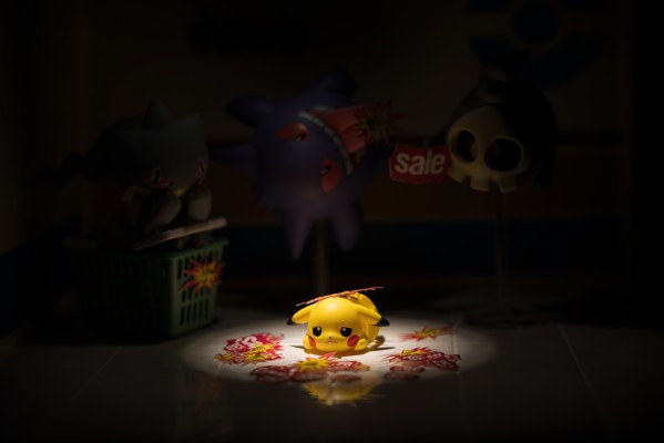 精灵宝可梦 深夜里的神奇小屋