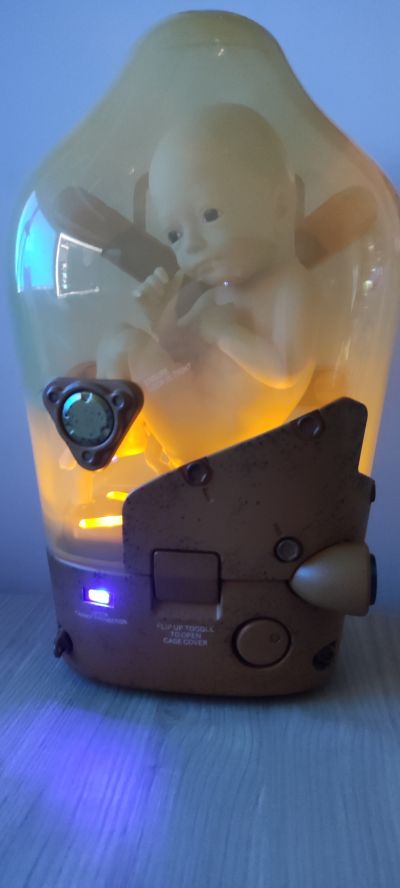 死亡搁浅 育婴仓 “赞”