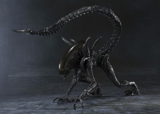 S.H.MonsterArts 异形战士