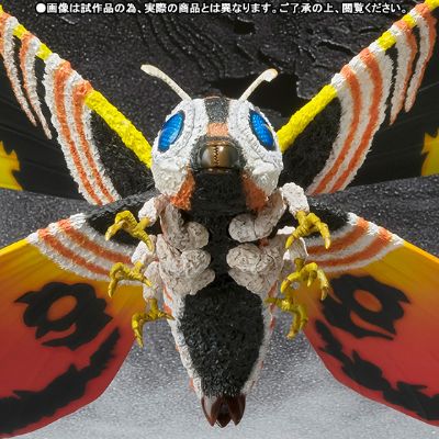 S.H.MonsterArts  哥斯拉大战魔斯拉 魔斯拉（成虫）