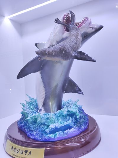 NATURE TALES 大白鲨