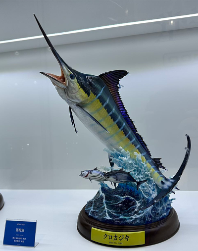 NATURE TALES 蓝枪鱼