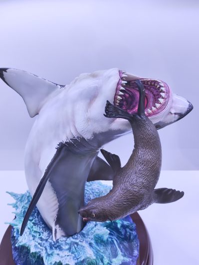 NATURE TALES 大白鲨