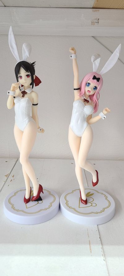 BiCute Bunnies 辉夜大小姐想让我告白～初吻不会结束～  藤原千花