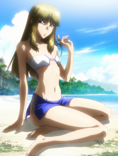 BEACH QUEENS 银河机攻队MAJESTIC PRINCE 钉宫惠