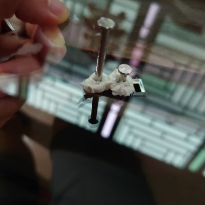 暗恋兔女郎 奈奈佳 明润眼