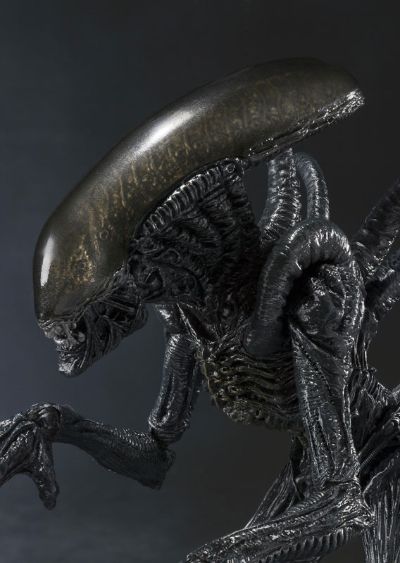 S.H.MonsterArts 异形战士