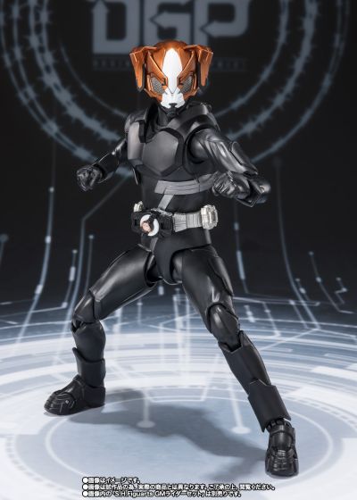 S.H.Figuarts  愿望大奖赛 登录形态套装