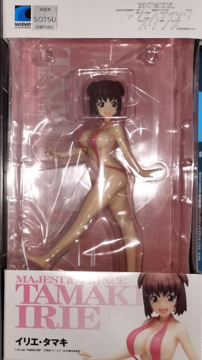 BEACH QUEENS 银河机攻队 入江环