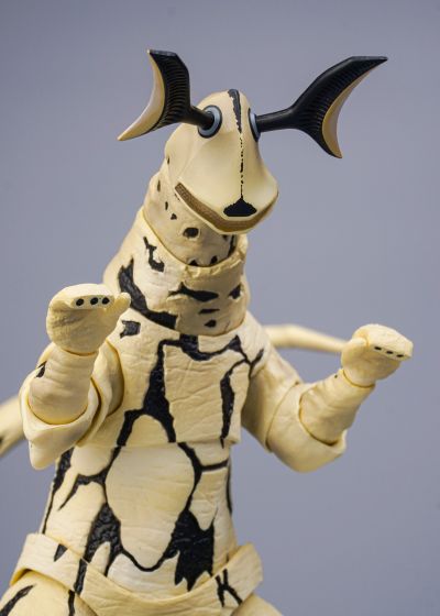 S.H.Figuarts 艾雷王