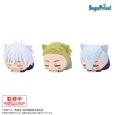 咒术回战   午睡猫咪3