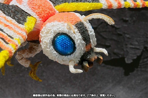 S.H.MonsterArts  哥斯拉大战魔斯拉 魔斯拉（成虫）