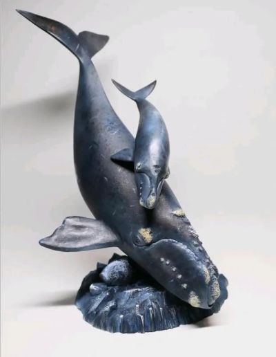 NATURE TALES 露脊鲸亲子