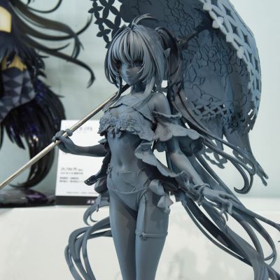 命运-冠位指定  身披角色者-阿瓦隆女士