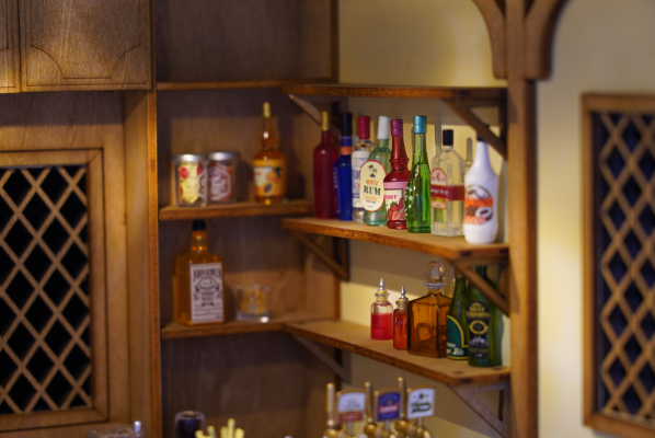 小小样品 迷你酒吧