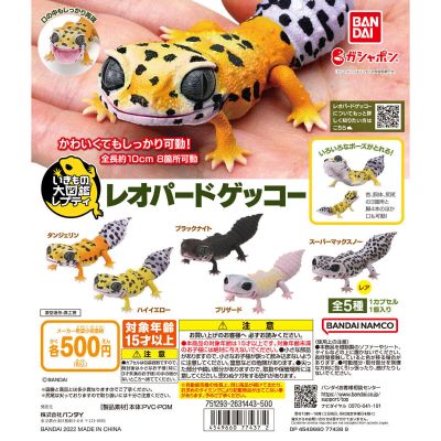 爬行类生物大图鉴 豹纹壁虎