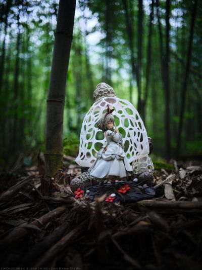 菇娘系列·No.2·长裙竹荪