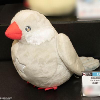 压泡面 佐佐木与文鸟小哔 星崎