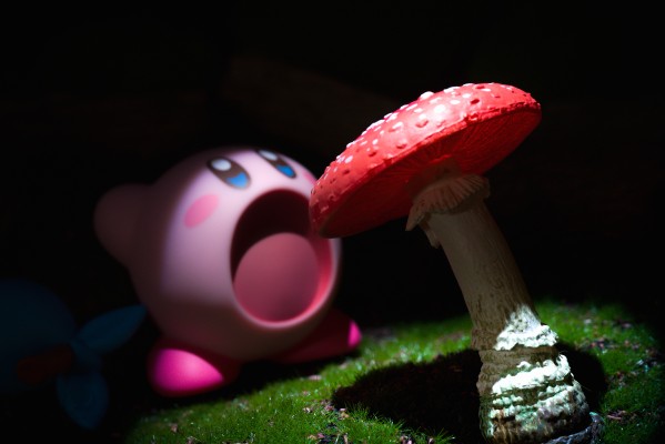 万代食玩 星之卡比 卡比和朋友们2