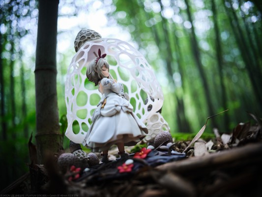 菇娘系列·No.2·长裙竹荪