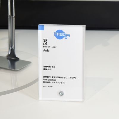 B-Style 胜利女神：妮姬 阿妮斯