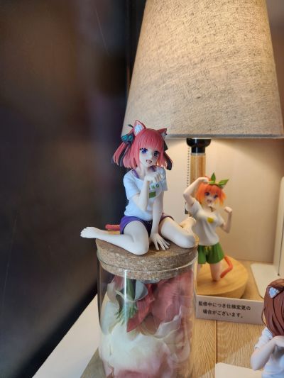 Desktop Cute 五等分的新娘∬ 中野二乃 ~新绘制猫咪居家服~