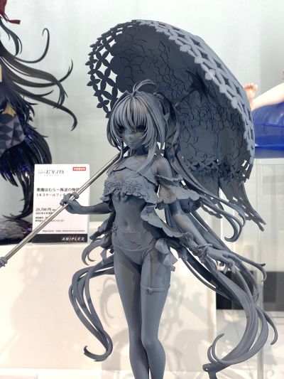 命运-冠位指定  身披角色者-阿瓦隆女士