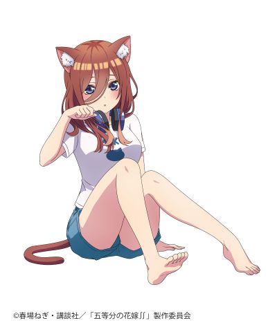 Desktop Cute 五等分的新娘∬ 中野三玖~新绘制猫咪居家服~