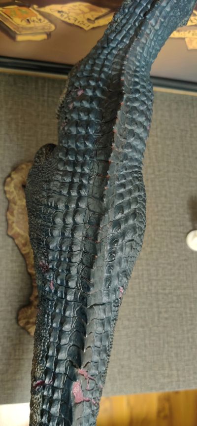 PCFJW-07 侏罗纪世界：统治 南方巨兽龙