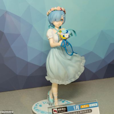 Trio-Try-iT Re：从零开始的异世界生活  雷姆·伴娘