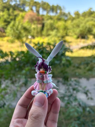 魔法护士小麦 中原小麦 （通常版） 