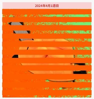 链锯人 动画版 特大号睡姿玩偶 波奇塔