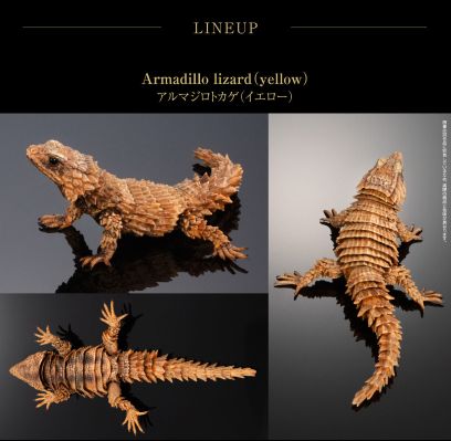 进化生物大图鉴 犰狳蜥