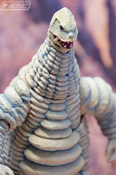 S.H.Figuarts  雷德王