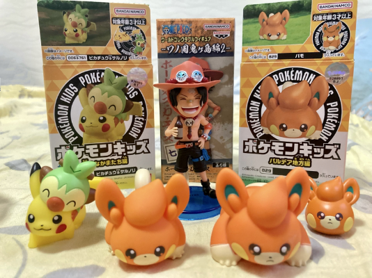 宝可梦Kids  帕底亚地区篇