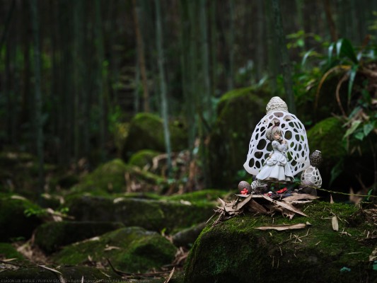 菇娘系列·No.2·长裙竹荪