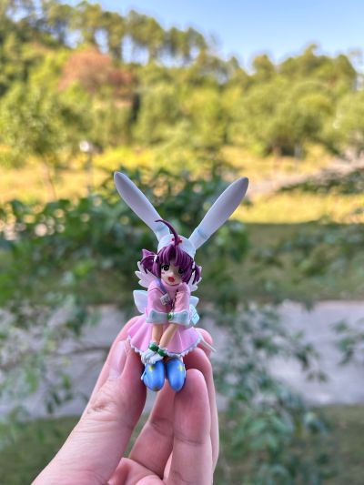 魔法护士小麦 中原小麦 （通常版） 