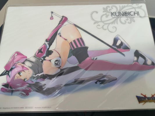 ExcellentModel 比基尼勇士 忍者