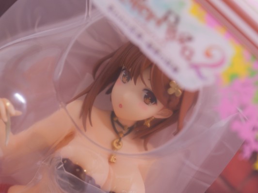 莱莎的炼金工房2：失落的传说与秘密妖精 莱莎 （莱莎琳・斯托特）换装时刻