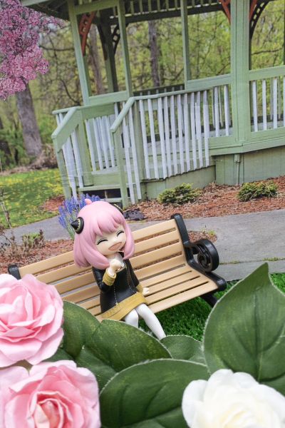 压泡面 间谍过家家 阿尼亚 新装版