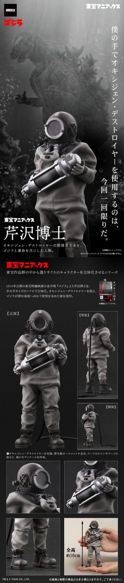 东宝狂热 芹泽博士