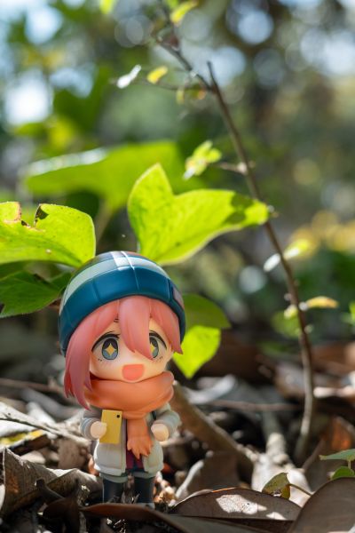 抚子的单人旅行⭐