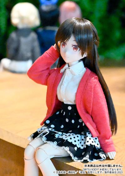 与娃娃的生活系列 租借女友 水原千鹤