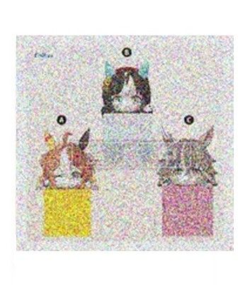 赛马娘 闪耀！优俊少女 趴趴10